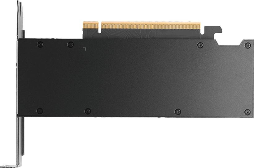 PNY RTX PRO 2000 Blackwell NVIDIA 16 GB GDDR7