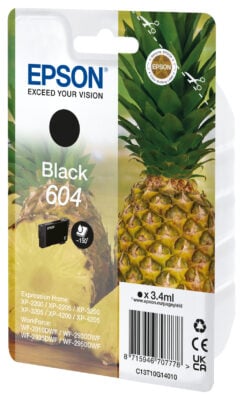 Epson Singlepack Black 604 Ink