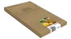 Epson Multipack 4-colours 604XL EasyMail - Afbeelding 3