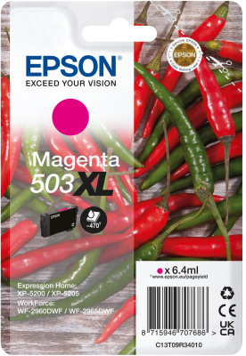 Printen & Scannen