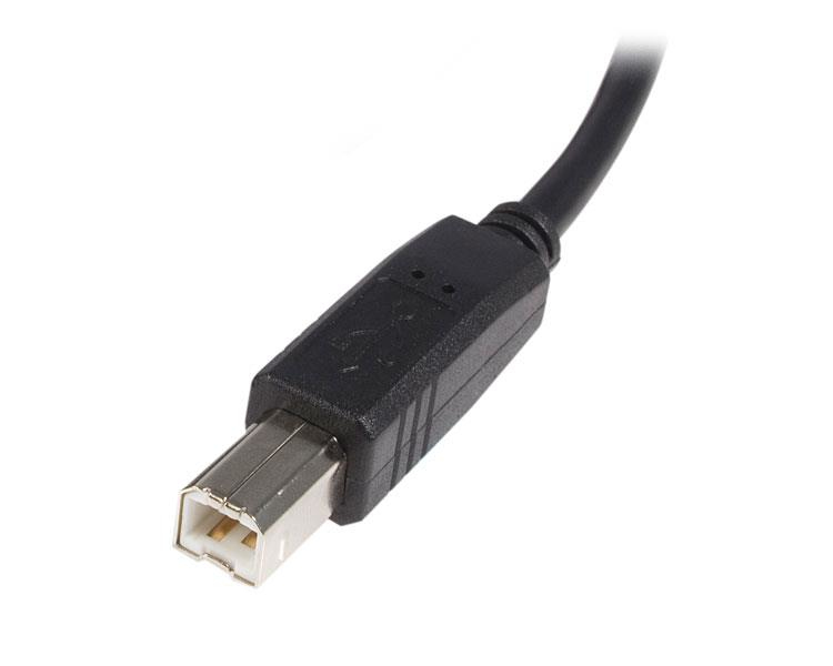 StarTech.com 3m USB 2.0 A naar B kabel - M/M - Afbeelding 4
