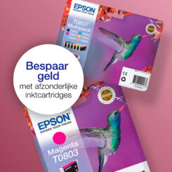 Epson Hummingbird Singlepack Yellow T0804 Claria Photographic Ink - Afbeelding 6