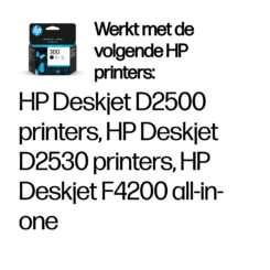 HP 300 originele zwarte inktcartridge