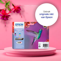 Epson Hummingbird Singlepack Black T0801 Claria Photographic Ink - Afbeelding 6
