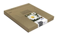 Epson Daisy 18 Madeliefje Claria Home multipack vierkleuren EasyMail-inkt - Afbeelding 5