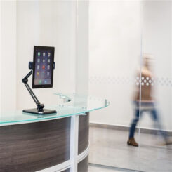 StarTech.com Verstelbare tablet houder - scharnierend - muur monteerbaar - universeel - Afbeelding 3