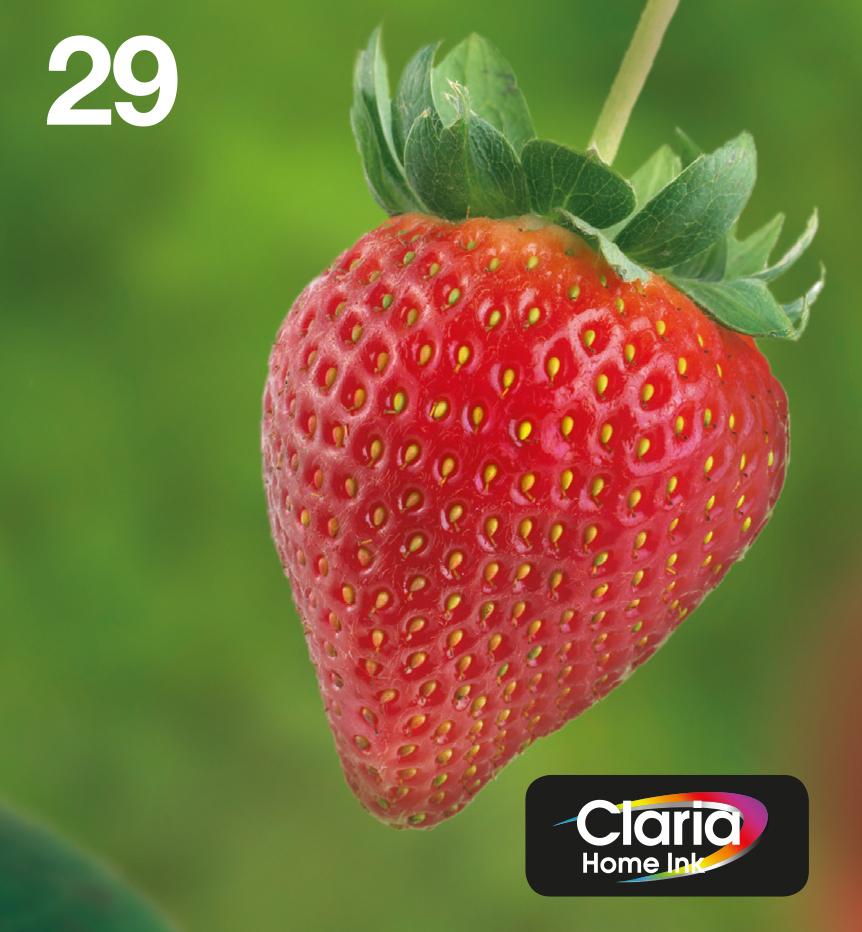 Epson Strawberry Multipack 4-colours 29 EasyMail - Afbeelding 2