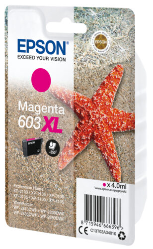Printen & Scannen
