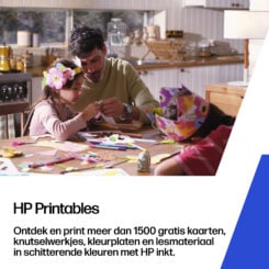 HP 300 originele drie-kleuren inktcartridge