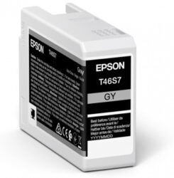 Epson UltraChrome Pro inktcartridge 1 stuk(s) Origineel Normaal rendement Grijs - Afbeelding 2