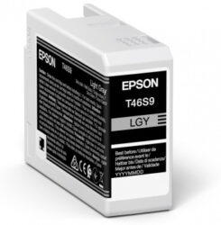 Epson UltraChrome Pro inktcartridge 1 stuk(s) Origineel Normaal rendement Grijs - Afbeelding 2