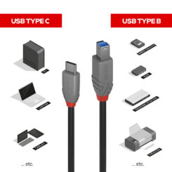 Lindy 36665 USB-kabel USB 3.2 Gen 1 (3.1 Gen 1) 0,5 m USB C USB B Zwart - Afbeelding 5