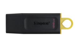 Kingston Technology DataTraveler Exodia - USB 3.2 Flash Drive - Afbeelding 2