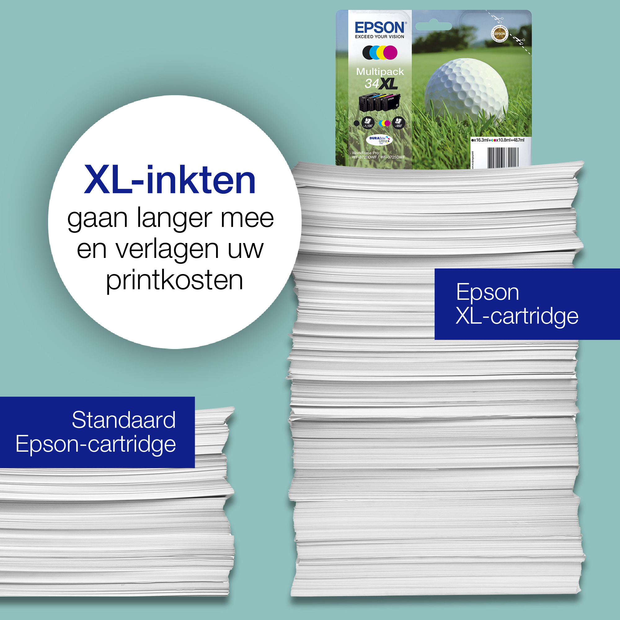 Epson Golf ball 34XL Golfbal DURABrite Ultra multipack vierkleureninkt - Afbeelding 6