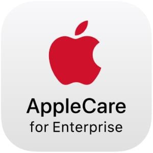 APPLE ACE iPad 10.2 24M T2
