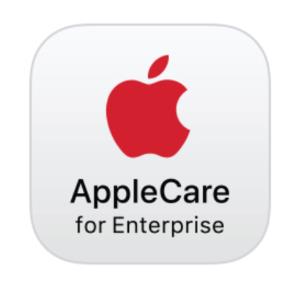 APPLE ACE Mac mini 36M T3
