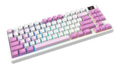 MSI FORGE GK600 TKL WIRELESS VIOLET toetsenbord Gamen USB + Bluetooth QWERTY Brits Engels Roze, Violet, Wit - Afbeelding 3
