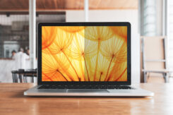 3M Bright Screen Privacy Filter voor 13.5in Volledig Scherm Laptop, 3:2, BP135C3E - Afbeelding 6