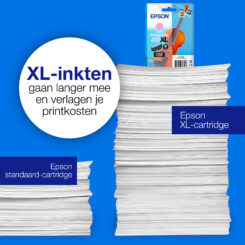 Epson Singlepack, lichtmagenta 250XL Viool Claria Photo HD-inkt - Afbeelding 6