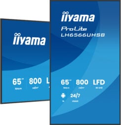 iiyama LH6566UHSB-B1AG beeldkrant Digitale signage flatscreen 165,1 cm (65") LCD Wifi 800 cd/m² 4K Ultra HD Zwart Type processor Android 24/7 - Afbeelding 5