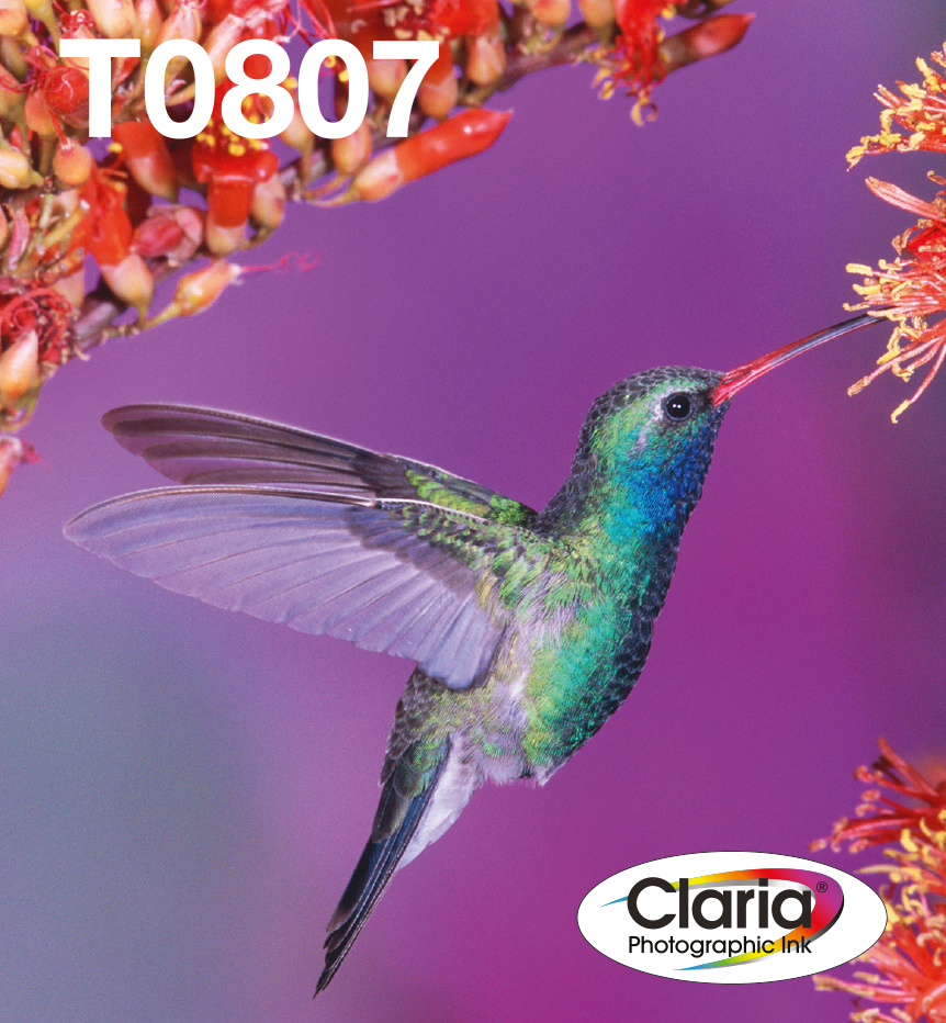 Epson Hummingbird Multipack, zes kleuren T0807 Claria Photographic Ink EasyMail verpakking - Afbeelding 5
