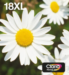 Epson Daisy 18XL Madeliefje Claria Home multipack vierkleuren EasyMail-inkt