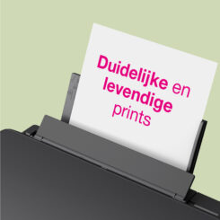 Epson Expression Home XP-2205 - Afbeelding 6