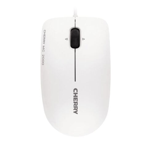 Muizen