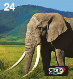 Epson 24 Olifant Claria Photo HD multipack zeskleuren EasyMail-inkt