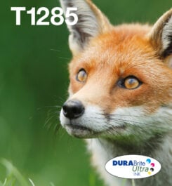 Epson Fox T128 Vos DURABrite Ultra multipack vierkleuren EasyMail-inkt - Afbeelding 6