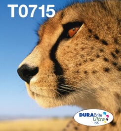 Epson Multipack 4-colours T071 EasyMail - Afbeelding 2