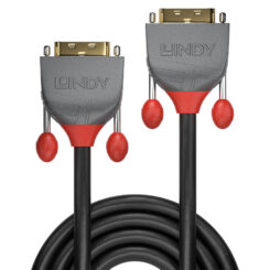 Lindy 36221 DVI kabel 1 m DVI-D Zwart - Afbeelding 3