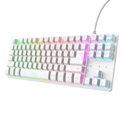 Trust GXT 833PS Thado Toetsenbord met TKL-verlichting