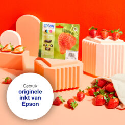 Epson Strawberry Multipack 4-colours 29 Claria Home Ink - Afbeelding 3