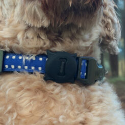Beeep OneTag Apple Find My & Android Tracker - Dog Collar Tag - Black - Afbeelding 7