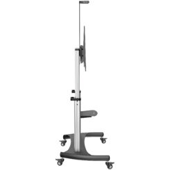 StarTech.com Verrijdbare TV Standaard - Stevige TV Vloerstandaard voor 60-100" Scherm (100kg) - In Hoogte te Verstellen Verrijdbaar TV Meubel op Wielen - Universele Televisiestandaard - Afbeelding 6