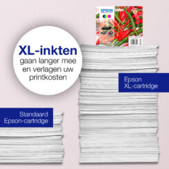Epson Singlepack Yellow 503 Ink - Afbeelding 4
