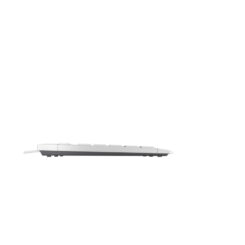 CHERRY STREAM KEYBOARD TKL toetsenbord Universeel USB QWERTY Engels Wit - Afbeelding 3