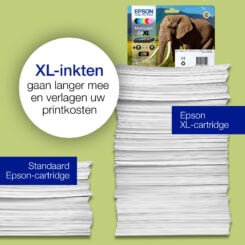 Epson Elephant 24 Olifant Claria Photo HD afzonderlijke gele inkt - Afbeelding 4