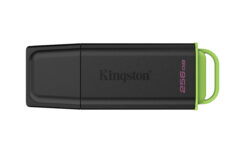 Kingston Technology DataTraveler 256GB Portable USB 3.2 Gen 1 Exodia Black/Green