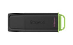 Kingston Technology DataTraveler 256GB Portable USB 3.2 Gen 1 Exodia Black/Green
