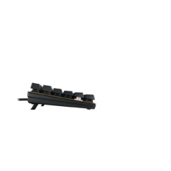 CHERRY KC 200 MX toetsenbord Universeel USB QWERTY Engels Zwart, Brons - Afbeelding 4