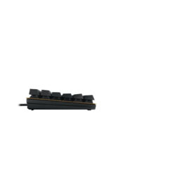 CHERRY KC 200 MX toetsenbord Universeel USB QWERTY Engels Zwart, Brons - Afbeelding 5