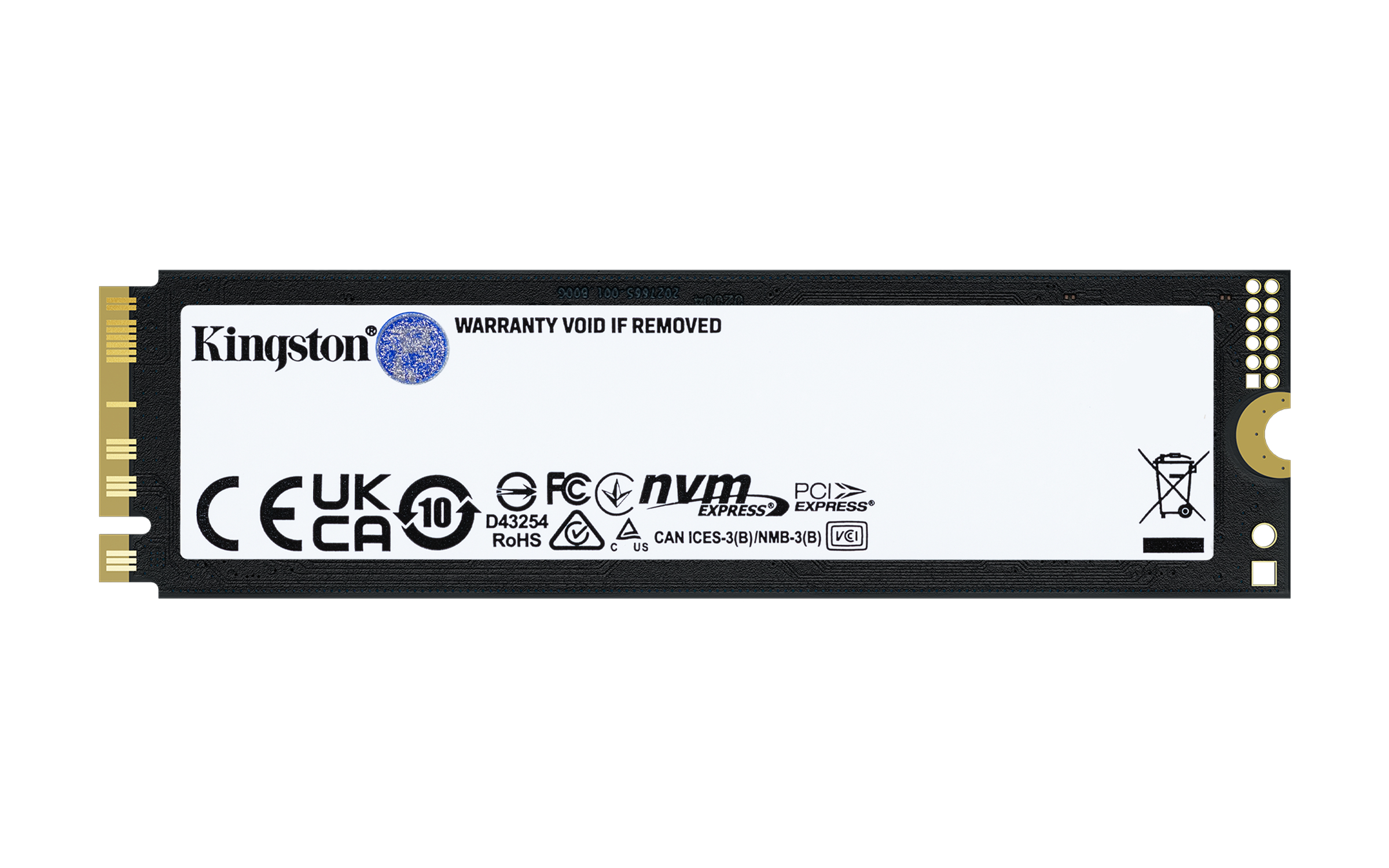 Kingston Technology 4T FURY RENEGADE G5 M.2 2280 NVMe SSD - Afbeelding 3