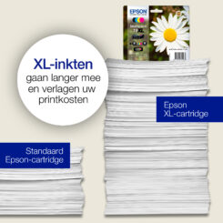 Epson Daisy 18XL Madeliefje Claria Home multipack vierkleuren EasyMail-inkt - Afbeelding 6