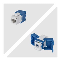 StarTech.com Cat6 Keystone Jack, 24 Stuks, RJ45 Ethernet Keystone Jacks, UTP Cat6 Ethernet Jack voor Wandcontactdoos, 180 Graden, Toolless, Wit - Afbeelding 4