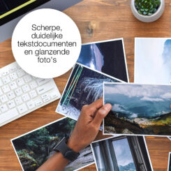 Epson Oranges 33 Sinaasappelen Claria Premium afzonderlijke cyaan inkt - Afbeelding 6