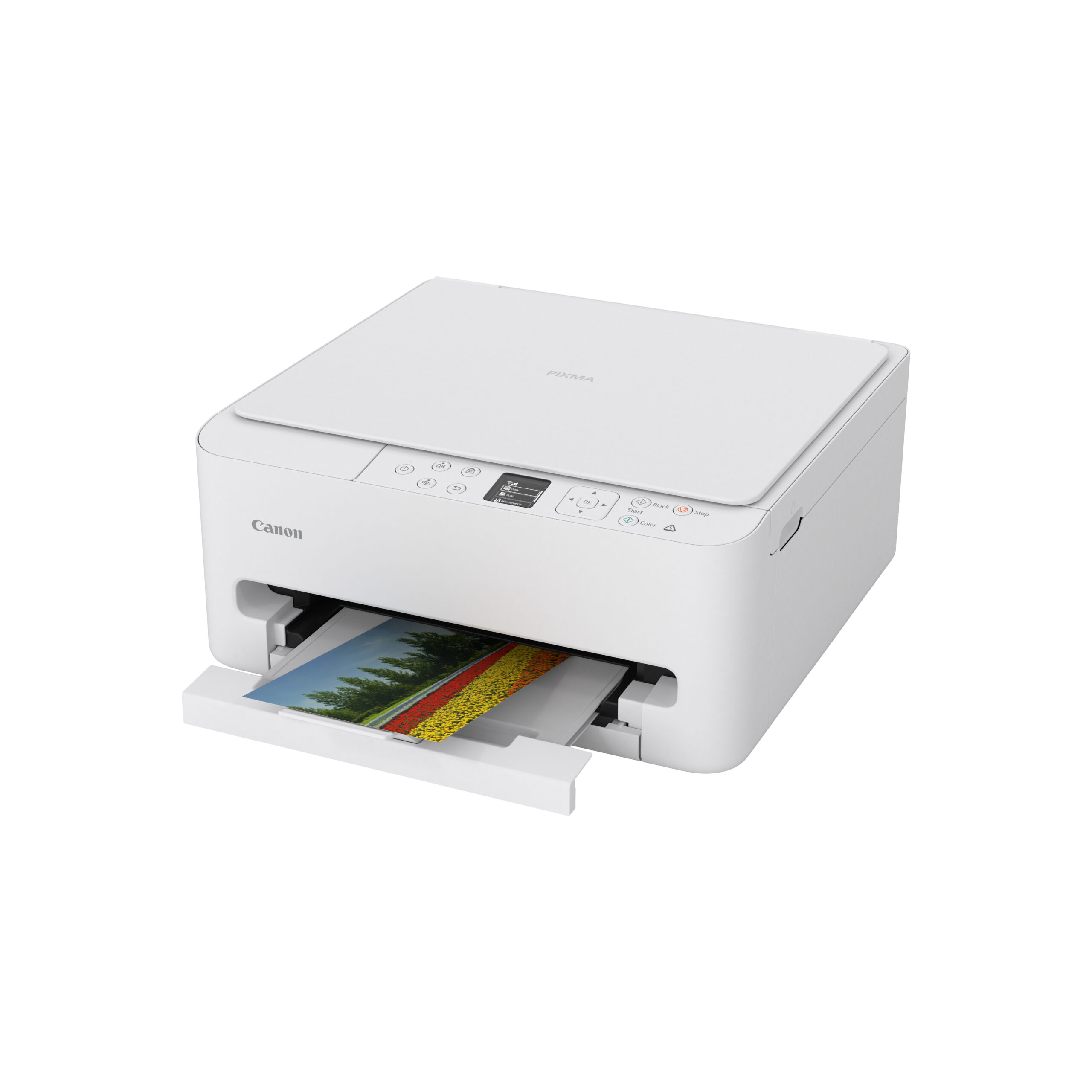 Canon PIXMA TS6550i Inkjet A4 1200 x 1200 DPI Wifi - Afbeelding 6
