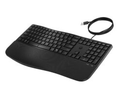 HP 485 CFT WD KBD toetsenbord Kantoor USB Zwart - Afbeelding 4