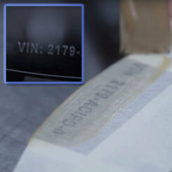 Brother STE-151 labelprinter-tape - Afbeelding 3